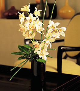  stanbul Beyolu iekiler  cam yada mika vazo ierisinde dal orkide