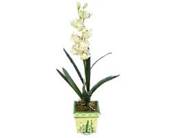 zel Yapay Orkide Beyaz   stanbul Beyolu online ieki , iek siparii 