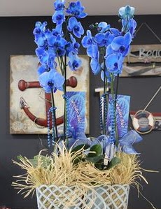 4 dall zel mavi orkide  stanbul Beyolu iek siparii vermek 
