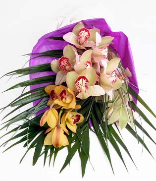  stanbul Beyolu cicekciler , cicek siparisi  1 adet dal orkide buket halinde sunulmakta