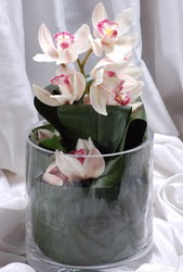  stanbul Beyolu internetten iek siparii  Cam yada mika vazo ierisinde tek dal orkide